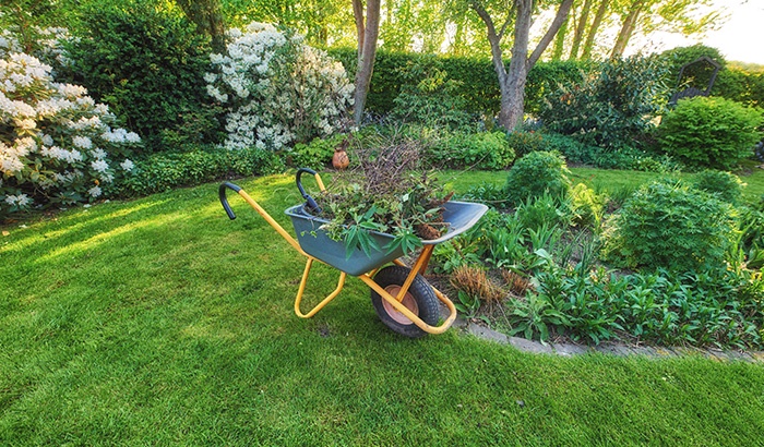 Element Property Services LLC Revolutionizes Lawn Care and Tree Trimming Services in Amarillo