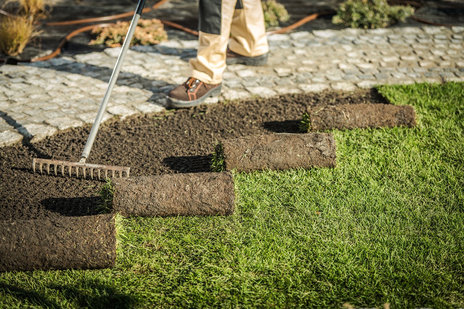 https://www.kansascitybulletin.com/ecograss-landscaping-your-premier-choice-for-lawn-care-in-fayetteville-and-springdale-ar/